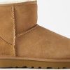 Donne polo Ralph Lauren Stivali | Ugg - Stivali Scamosciati Classic Mini Ii - Donna - Castagna