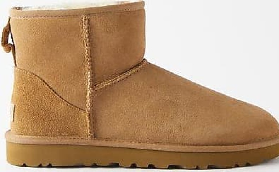 Donne polo Ralph Lauren Stivali | Ugg - Stivali Scamosciati Classic Mini Ii - Donna - Castagna